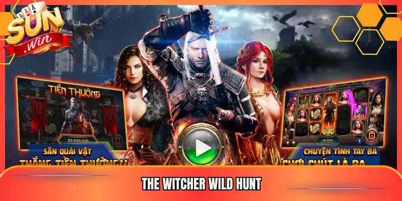 The Witcher Wild Hunt Sunwin